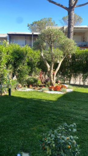 DEJA BLUE Beach House Bay of Lalzi Durres Gjiri Lalzit